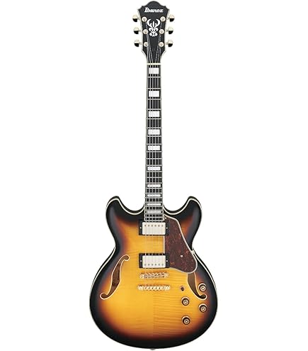 Amazon.com: Ibanez Artcore Expressionist AS93FM - Transparent